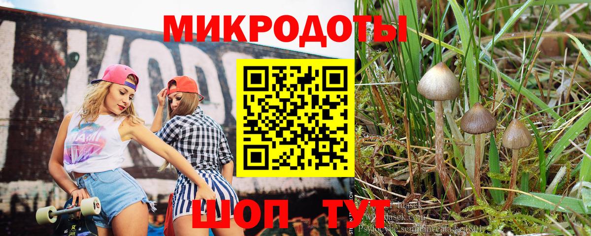 Псилоцибиновые грибы GOLDEN TEACHER Ртищево