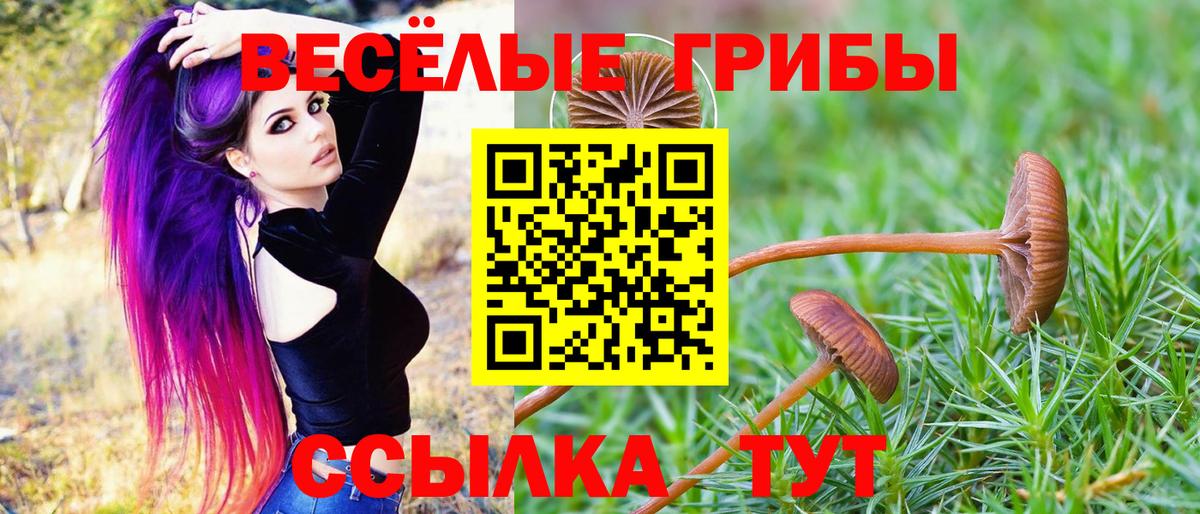 Галлюциногенные грибы прущие грибы  Псилоцибиновые грибы Cubensis  Ртищево  Вход с VPN 